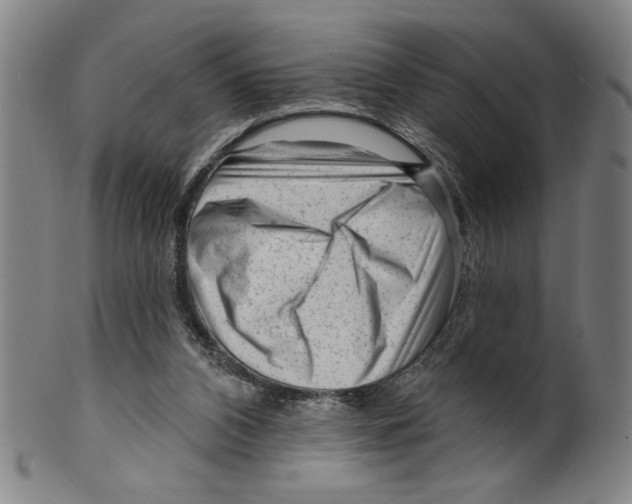 X0000099480112200806061255