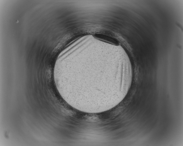 X0000099480113200806061255