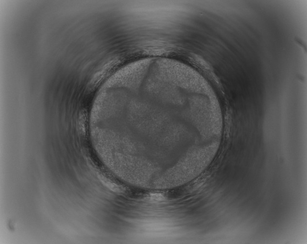 X0000099480114200806061255