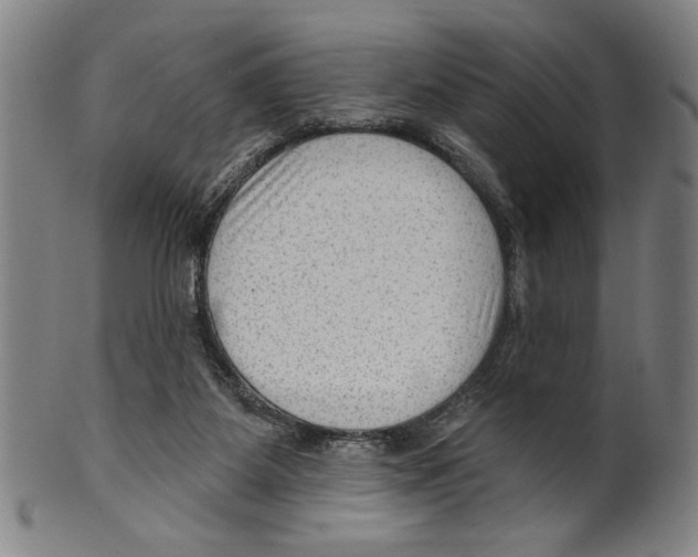 X0000099480115200806061255
