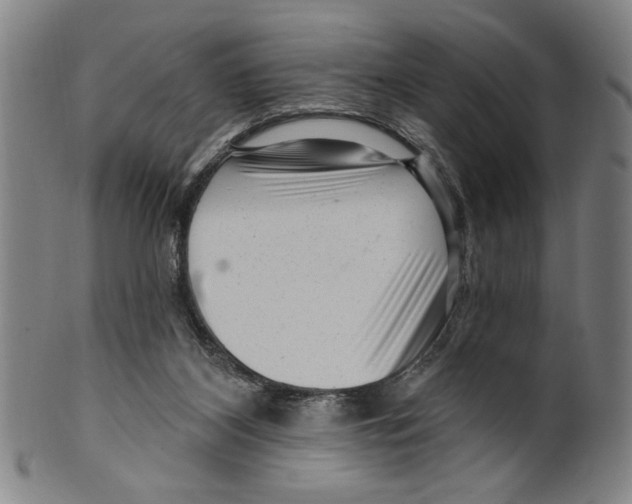 X0000099480116200806061255