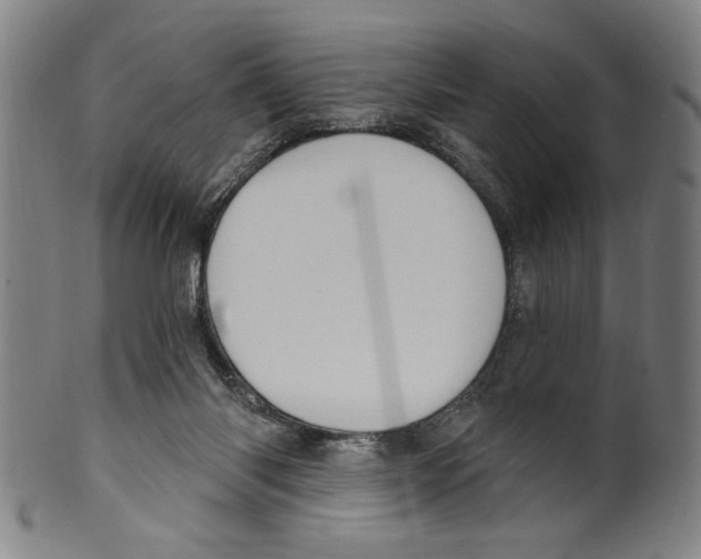 X0000099480118200806061255