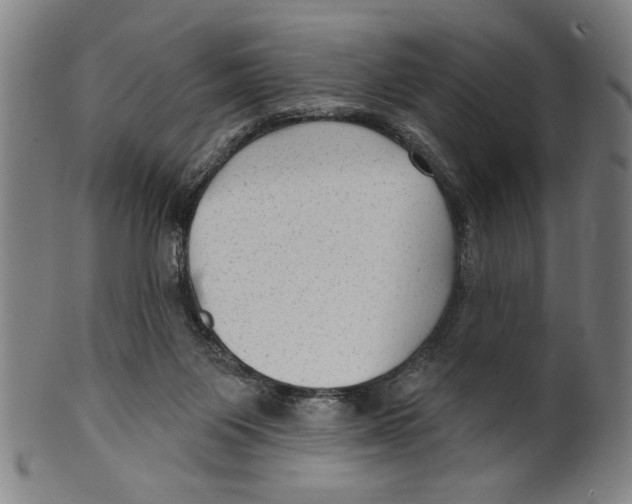 X0000099480119200806061255