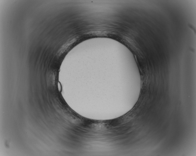 X0000099480120200806061255