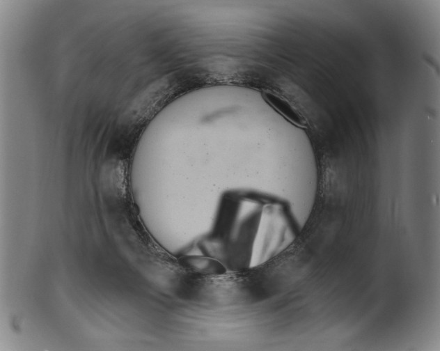 X0000099480121200806061255