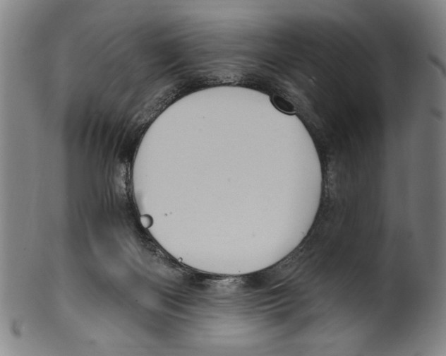 X0000099480122200806061255
