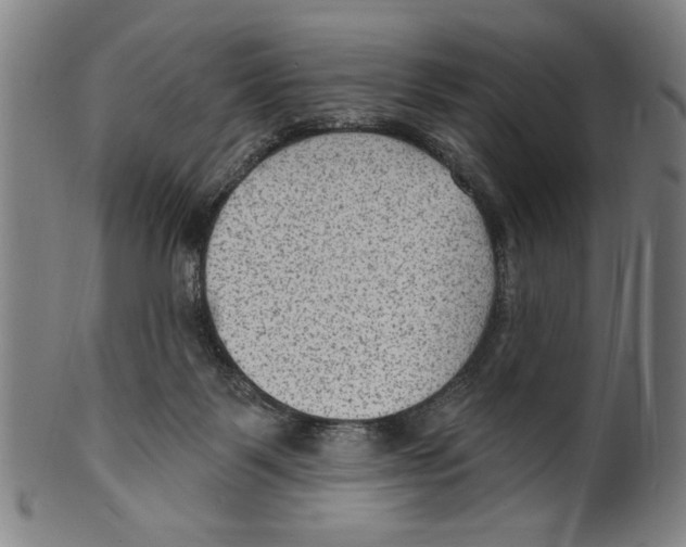 X0000099480123200806061255