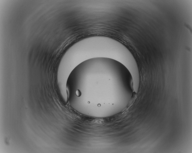 X0000099480124200806061255