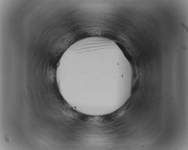 X0000099480125200806061255