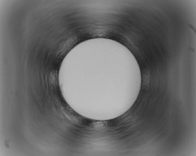 X0000099480126200806061254