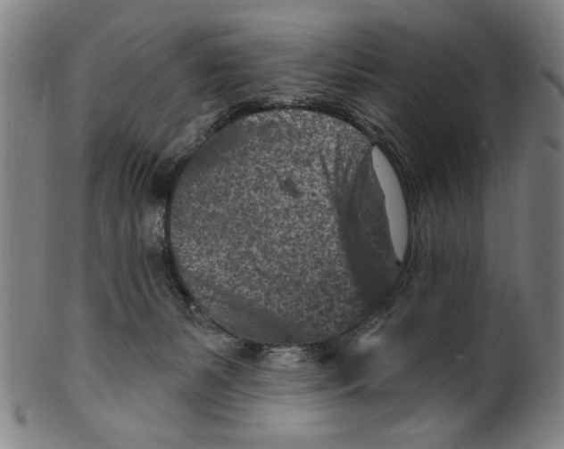 X0000099480127200806061254