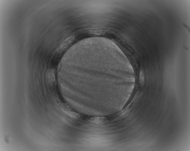X0000099480128200806061254
