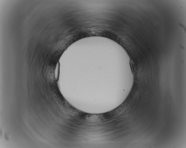 X0000099480129200806061254