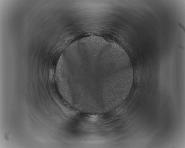 X0000099480130200806061254