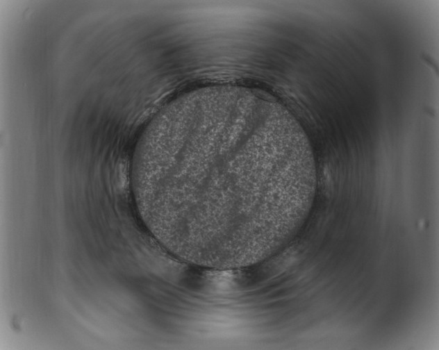 X0000099480131200806061254