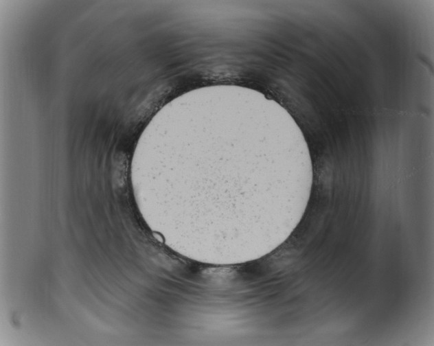 X0000099480133200806061254