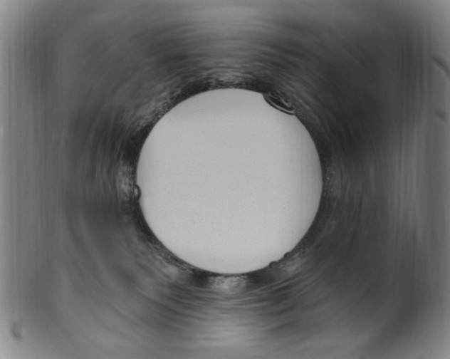 X0000099480135200806061254