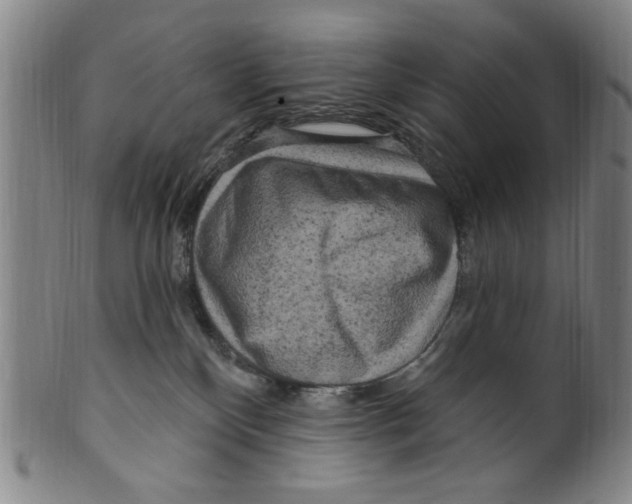 X0000099480136200806061254