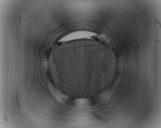 X0000099480137200806061254