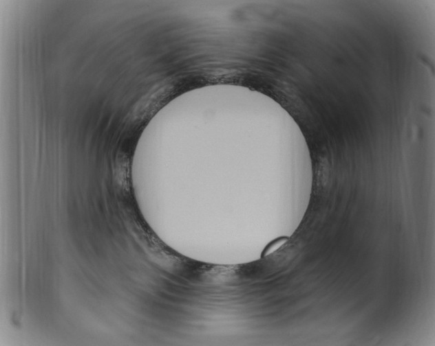 X0000099480138200806061254
