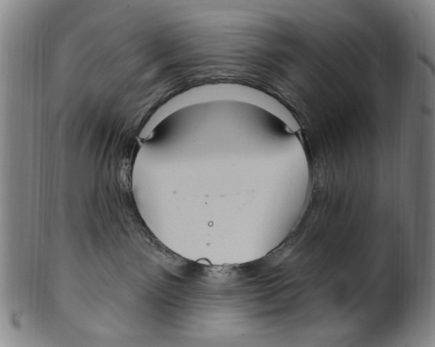 X0000099480141200806061254