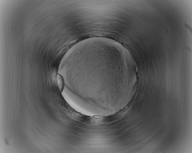 X0000099480143200806061254