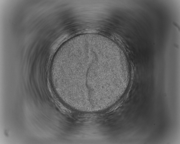 X0000099480145200806061254