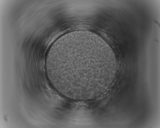 X0000099480146200806061254