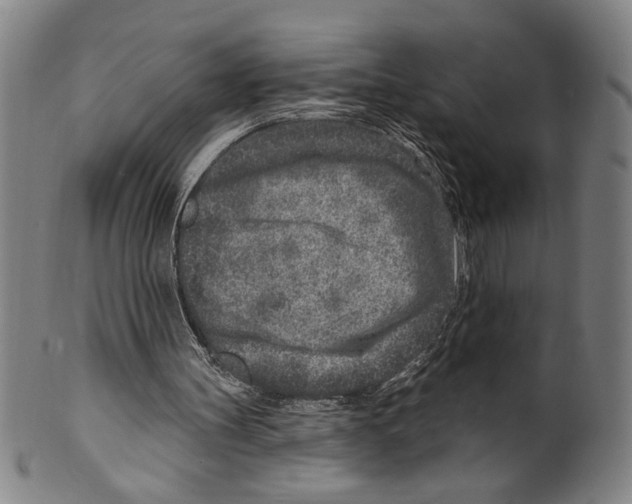 X0000099480147200806061254
