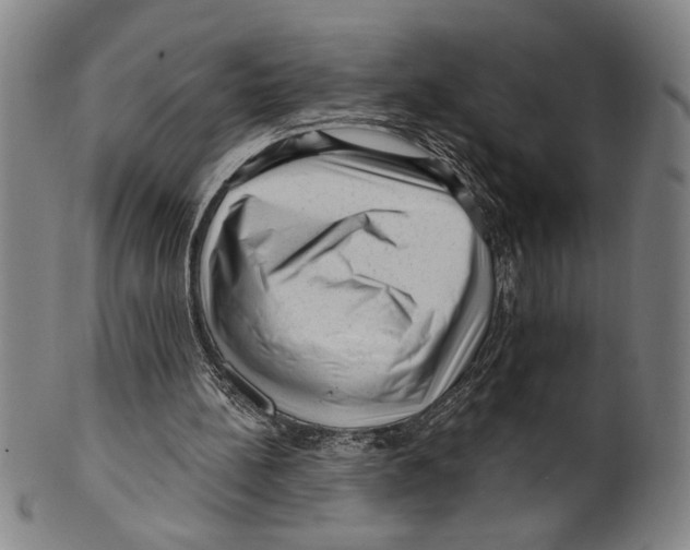 X0000099480148200806061254