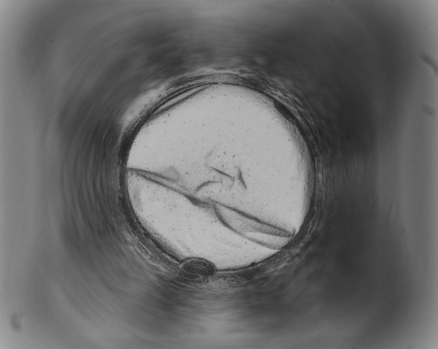 X0000099480149200806061254