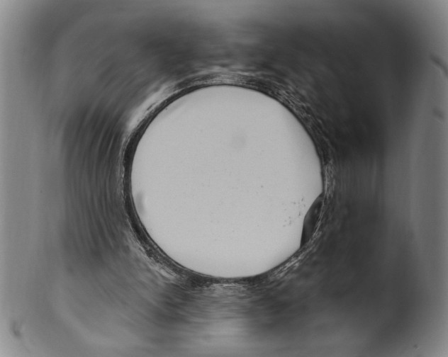 X0000099480150200806061254