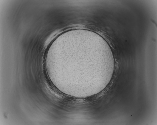 X0000099480151200806061254