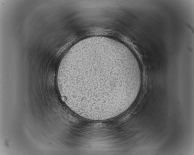 X0000099480153200806061254