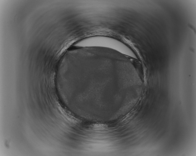 X0000099480154200806061254