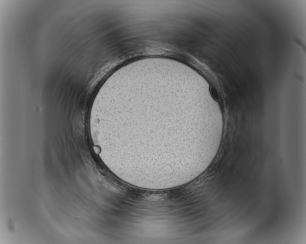 X0000099480155200806061254