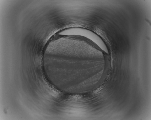 X0000099480156200806061254
