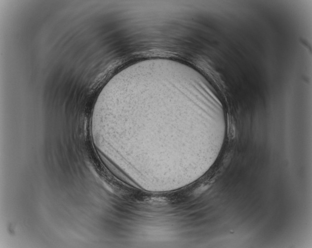 X0000099480157200806061254
