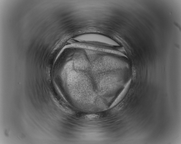 X0000099480158200806061254