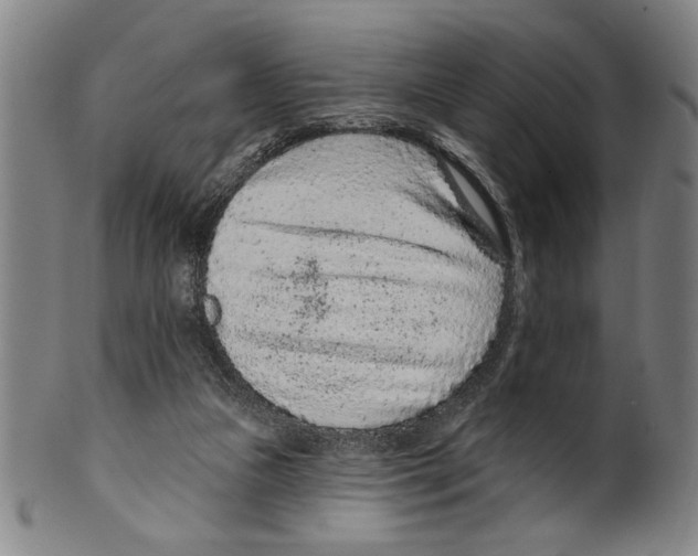 X0000099480161200806061254