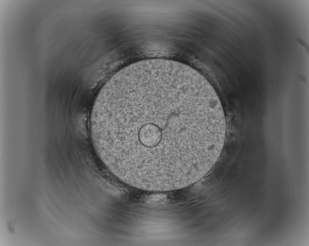 X0000099480162200806061254