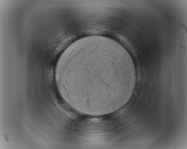 X0000099480163200806061254