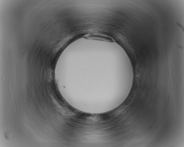 X0000099480164200806061254