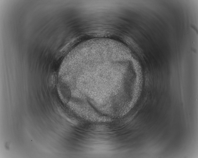 X0000099480165200806061254