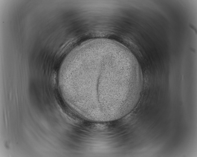 X0000099480166200806061254