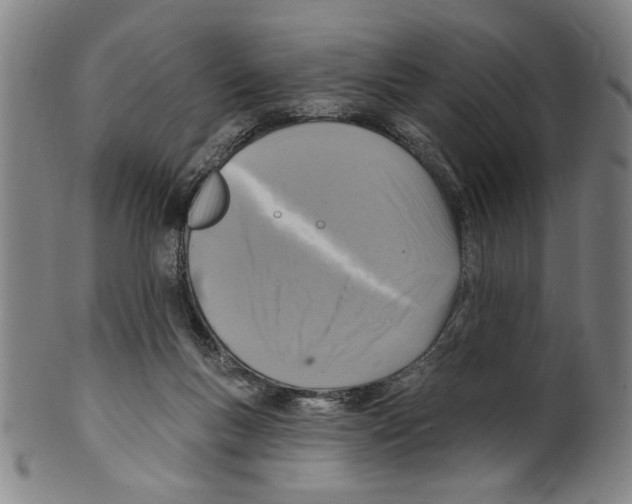 X0000099480167200806061254
