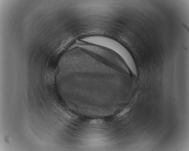 X0000099480168200806061254
