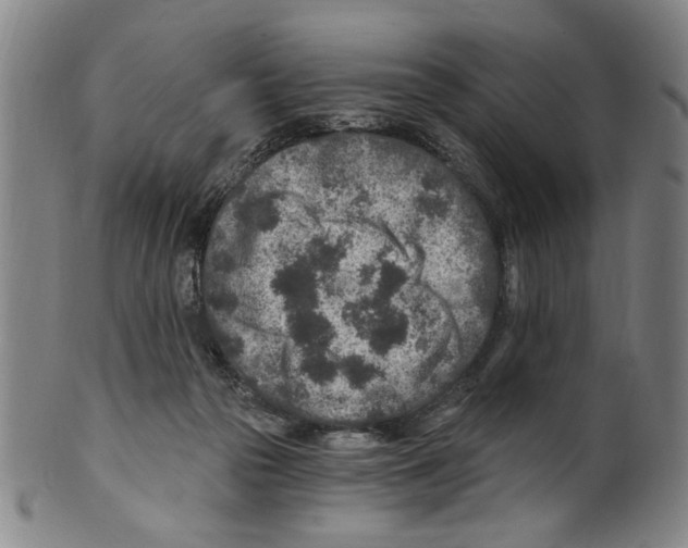 X0000099480169200806061254