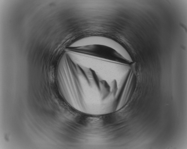 X0000099480170200806061254