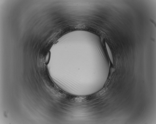 X0000099480172200806061254